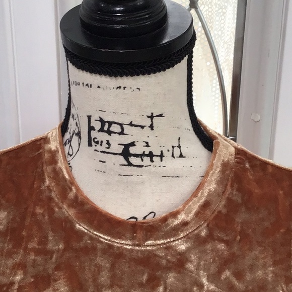 🆕 FOREVER 21 Velour Mock Neck Sleeveless Mini Dress - Picture 2 of 13